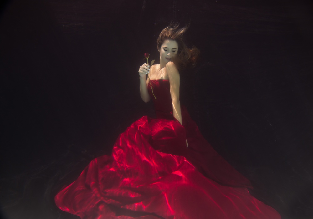 Red Queen de Gabriela Slegrova
