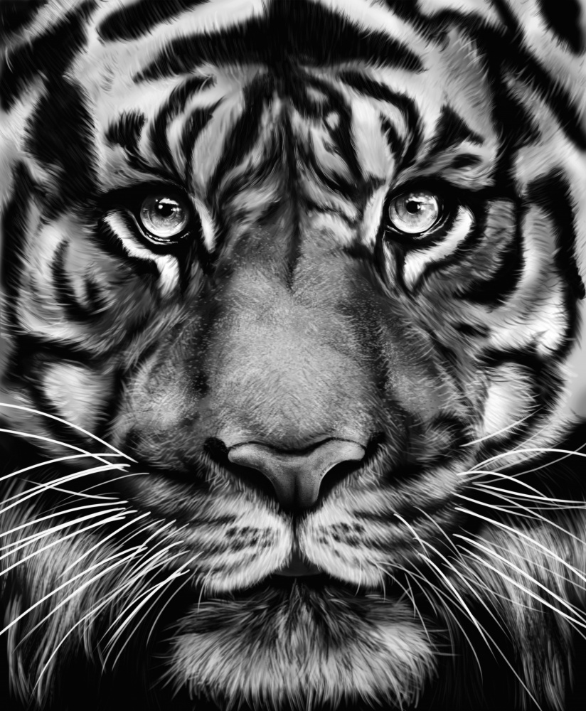 Tiger de Gabriella Roberg
