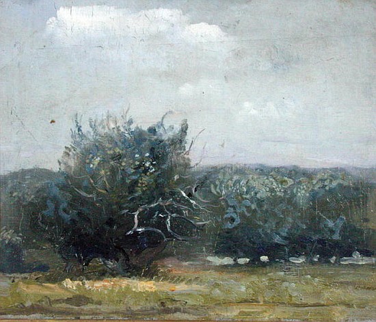 Apple Tree Field (oil on canvas)  de Gail  Schulman