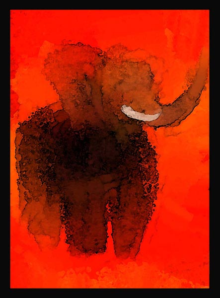 Fun Elephant 4 de David Ganssi