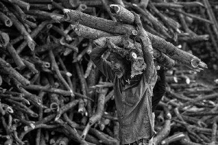 A man carrying wood 6998