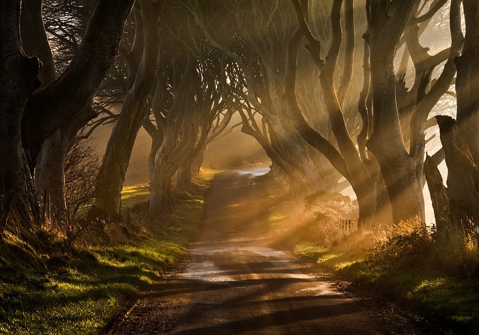 The Road Goes Ever On &amp; On de Gary McParland