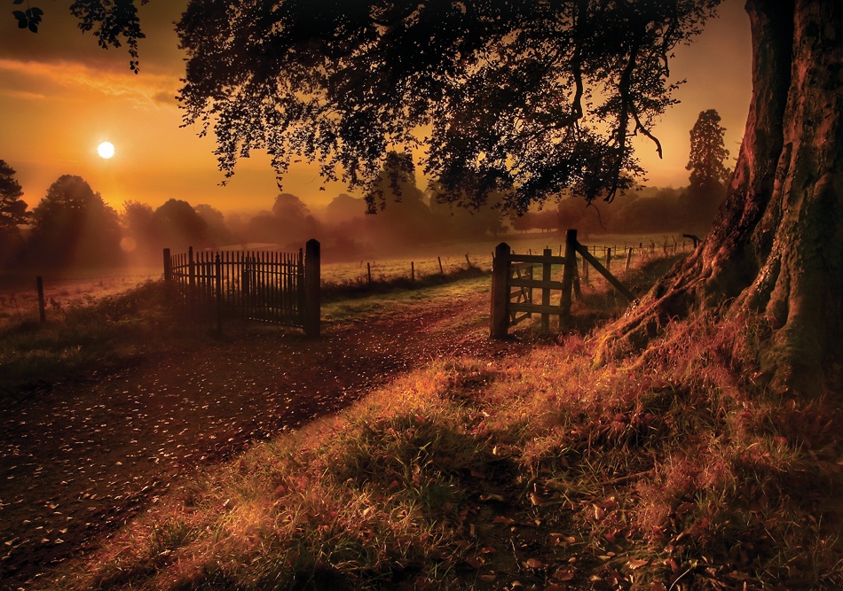Autumn Sunrise de Gary McParland