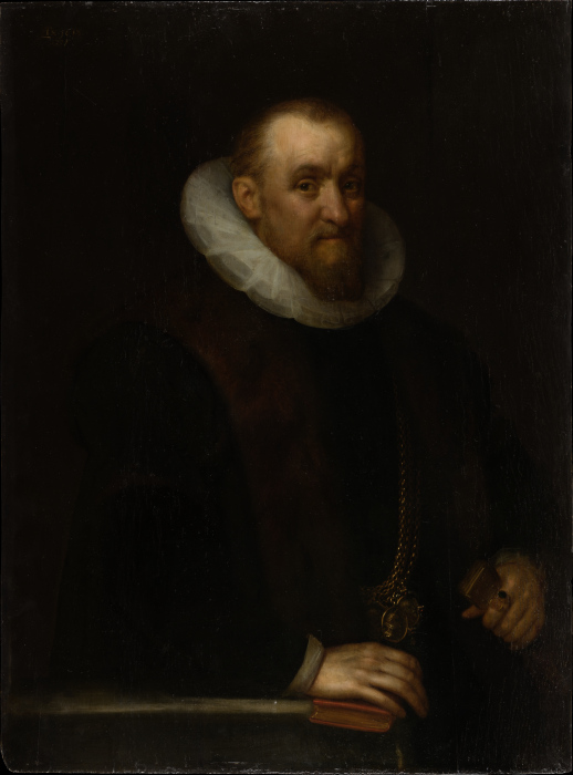Portrait of a Man de Geldorp Gortzius