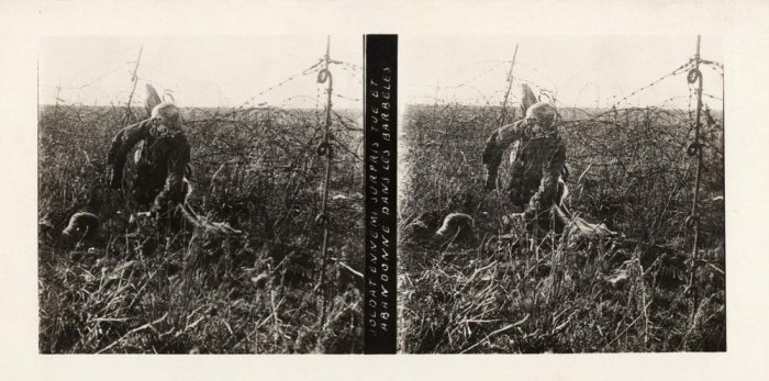 Leiche eines deutschen Soldaten im Drahtverhau. de Gentile da Fabriano
