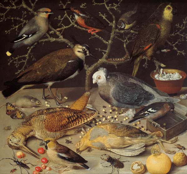 Still Life of Birds and Insects de Georg Flegel