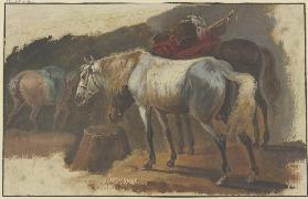 Ein Schimmel und ein bepackter Brauner an einem Korb stehend, im Hintergrund ein drittes Pferd mit b
