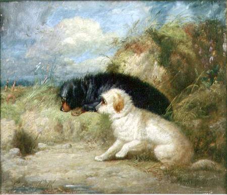 Terriers by a Rabbit Hole de George Armfield