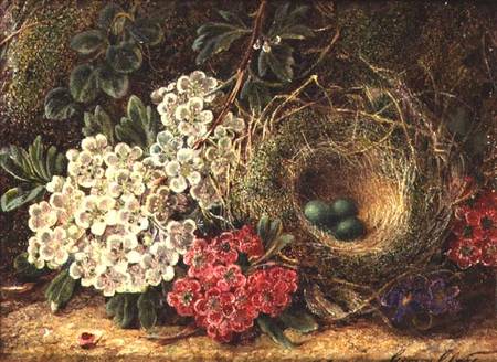 Still life with bird's nest de George Clare