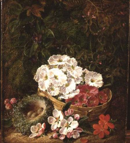 Still life of bird's nest, primulas in a basket and apple blossom de George Clare