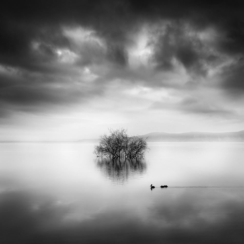 A Ray of Light de George Digalakis