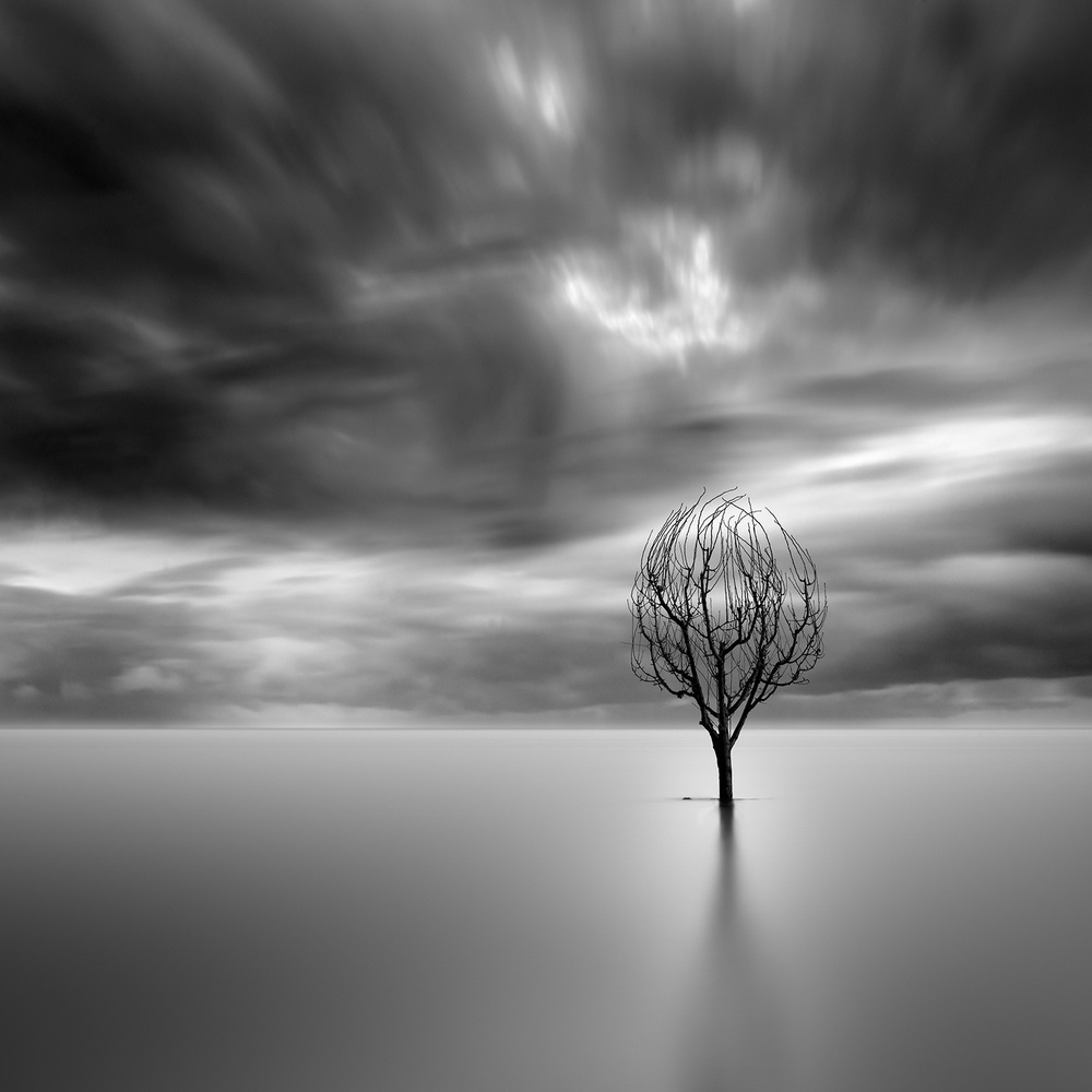 Lonely Tree de George Digalakis