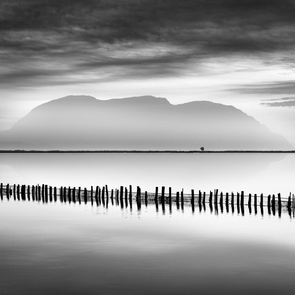 First Rays of the New Rising Sun de George Digalakis