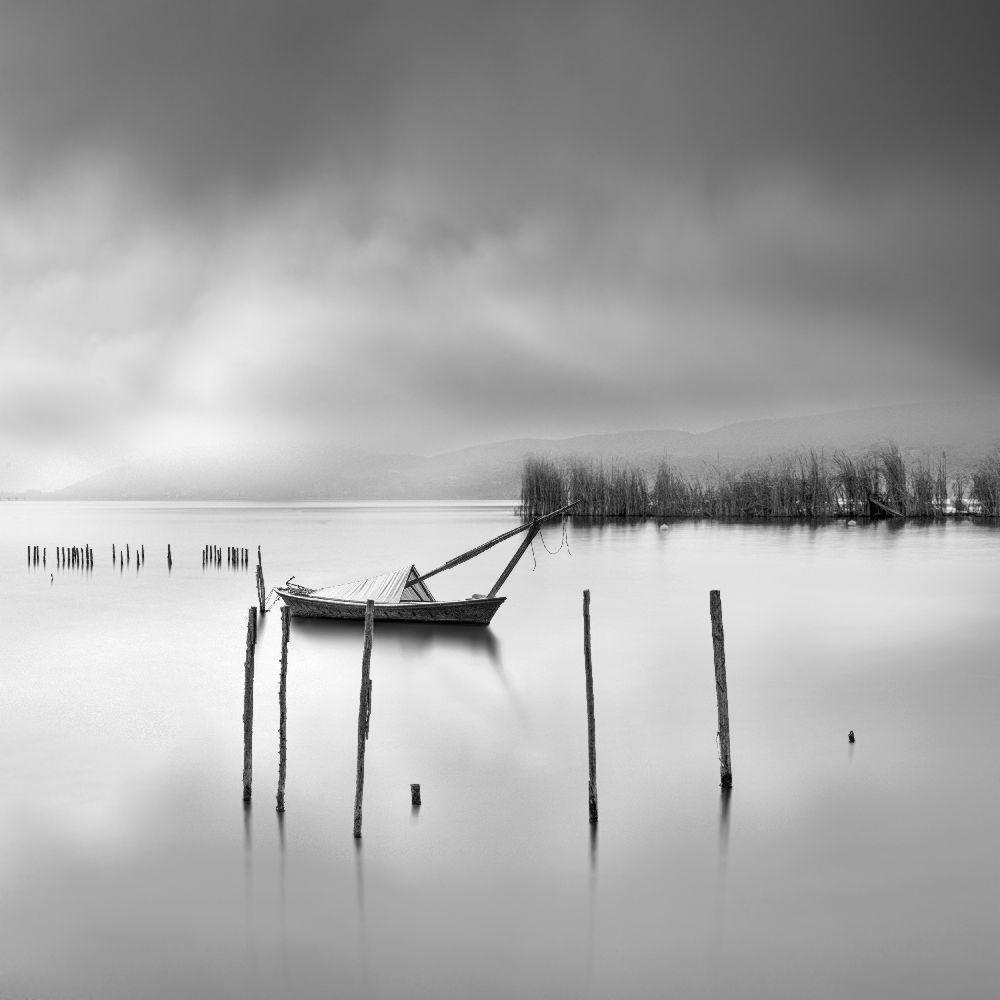Shades of Gray de George Digalakis