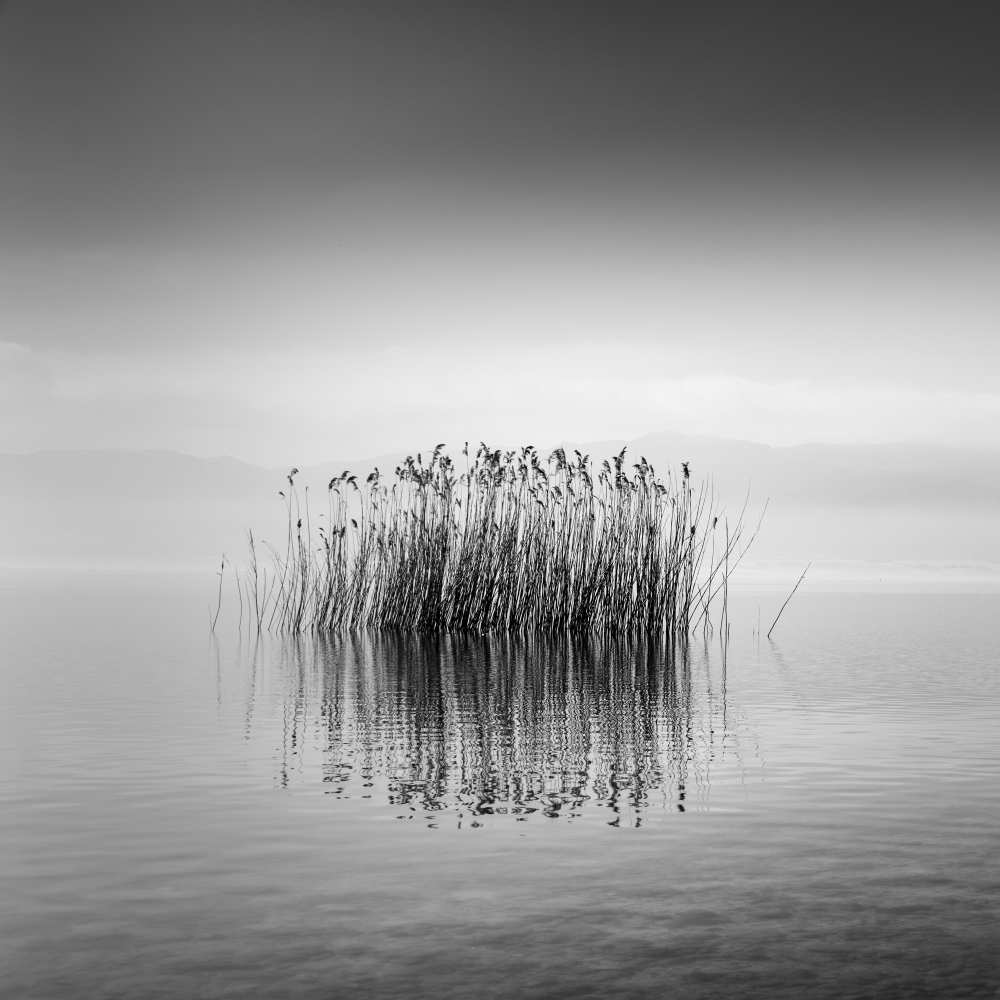 Lake Reflections de George Digalakis