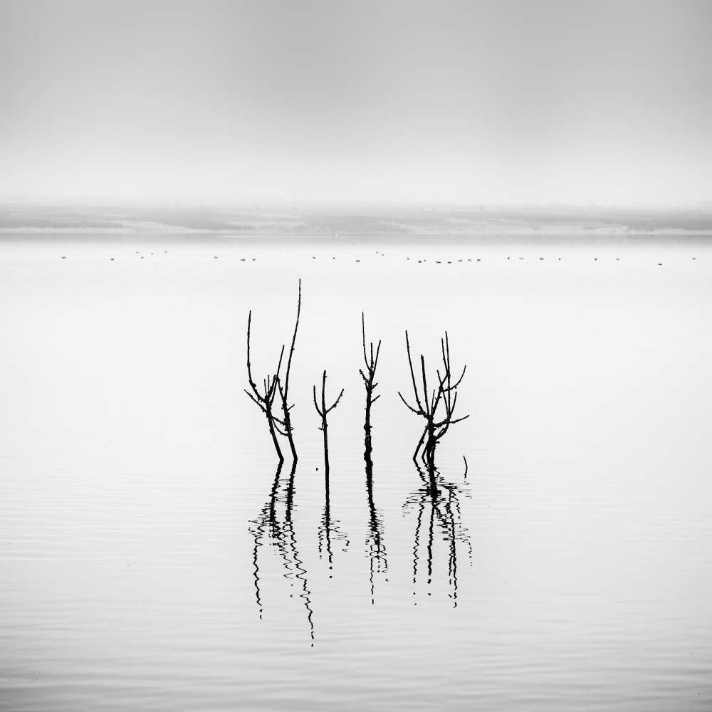 Lake Reflections de George Digalakis