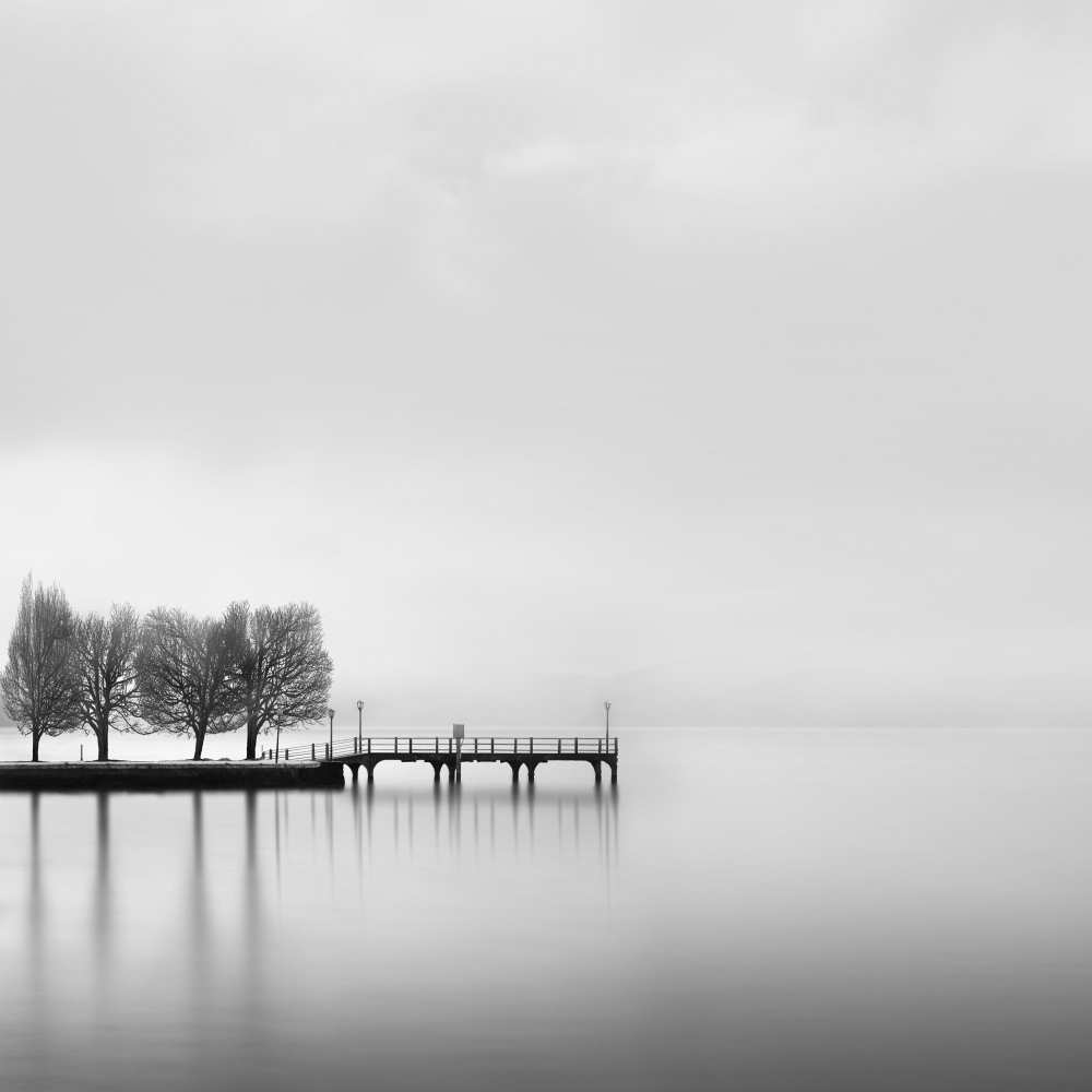 Pier with Trees (2) de George Digalakis