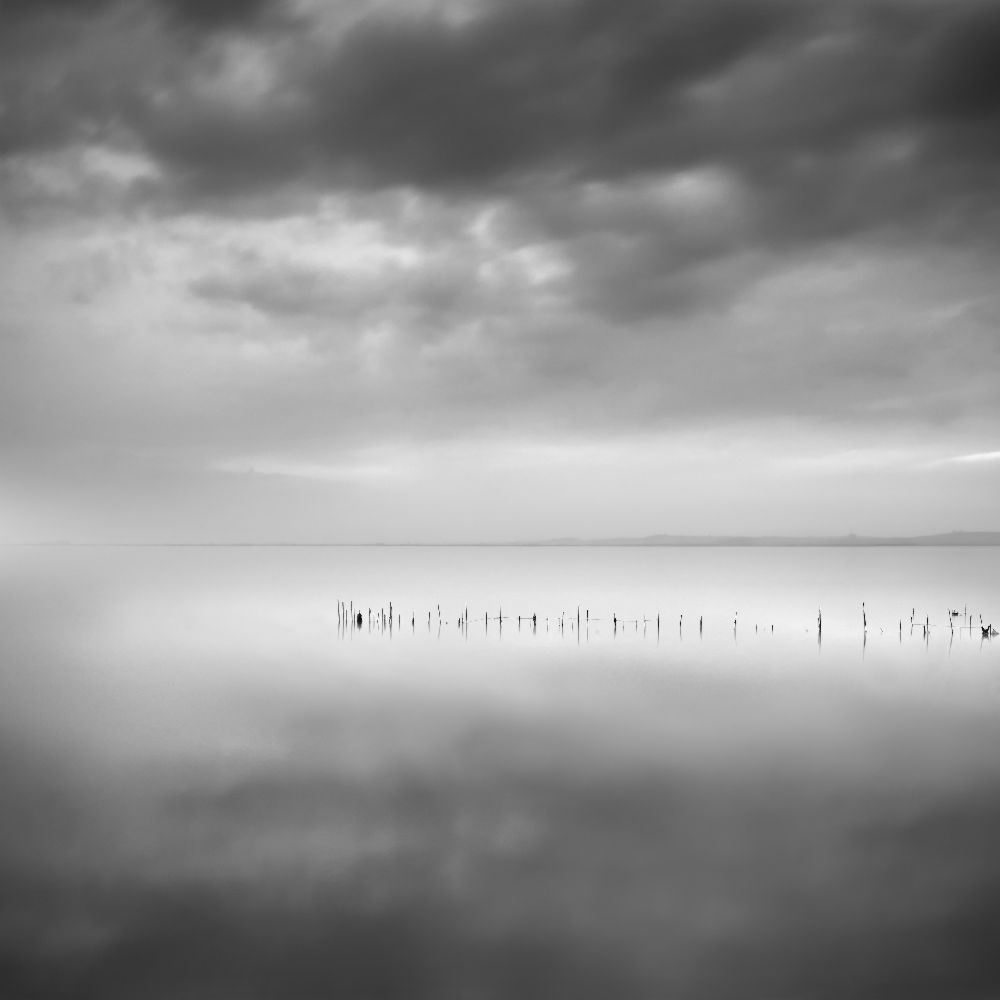 Sixty shades of gray de George Digalakis