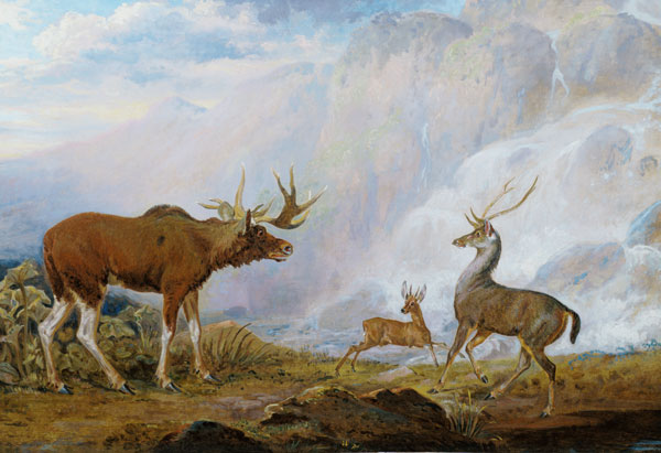 Earl of Orford's Elk, Antelope and Stag de George Garrard