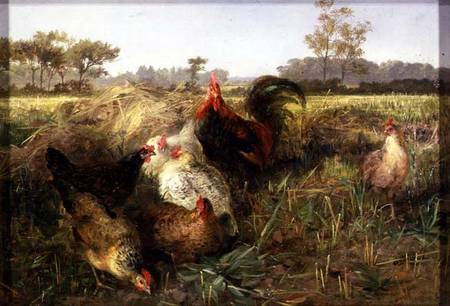 Fowls in the Stubble de George Hickin