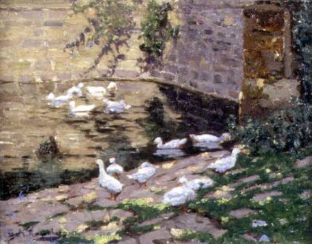 Ducks on a Pond de George Rosenberg