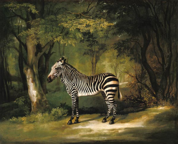 A Zebra de George Stubbs