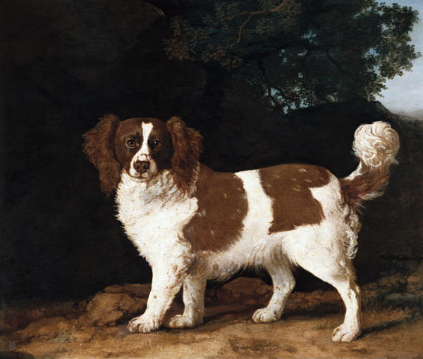 Fanny, the Favourite Spaniel of Mrs. Musters, Standing in a Wooded Landscape de George Stubbs