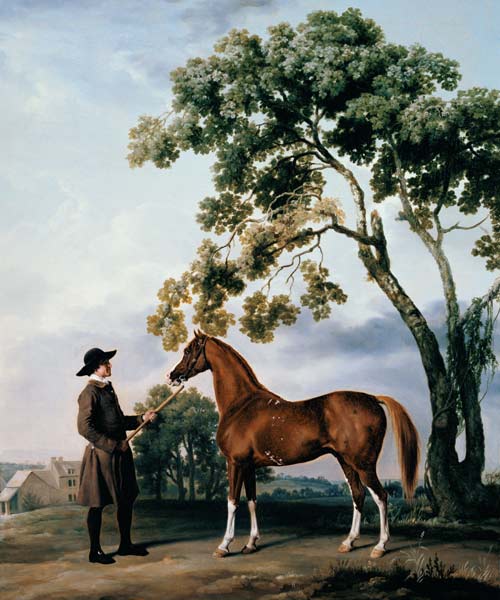 Pferdepfleger with the arab horse Lord Grosvenor de George Stubbs