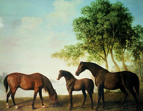Shafto Mares and a Foal de George Stubbs