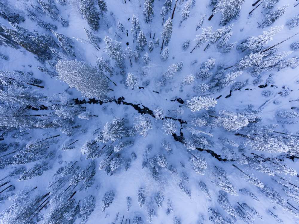 Winter wonderland de Gerald Macua