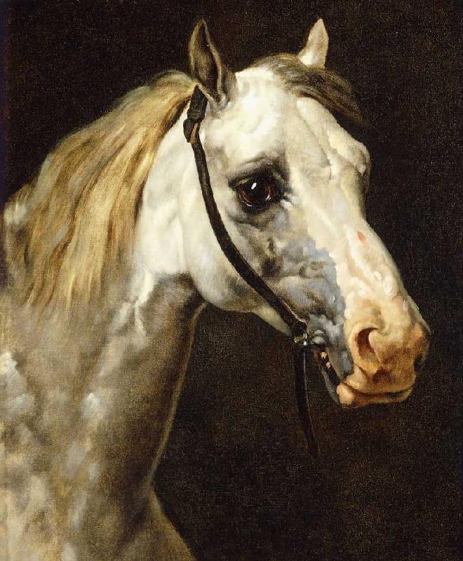 Pferdekopf. de Gericault Theodore