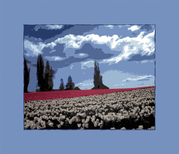Tulpenfelder de Andreas Gerlach