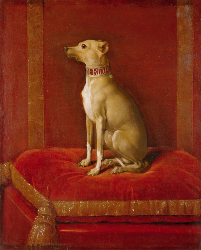 One of Frederick II''s Italian greyhounds de German School