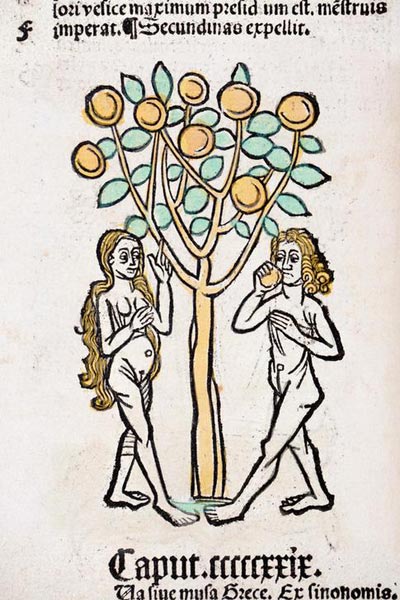 Adam and Eve tree Hortus Sanitatis de German School