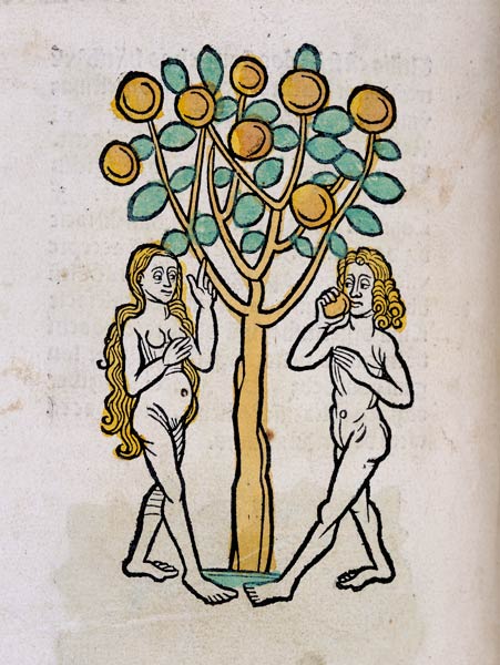 The Tree of Knowledge, from Ortus Sanitatis' de German School