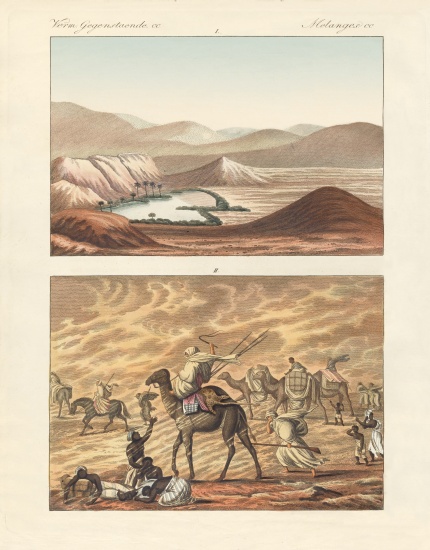 About the Sahara de German School, (19th century)