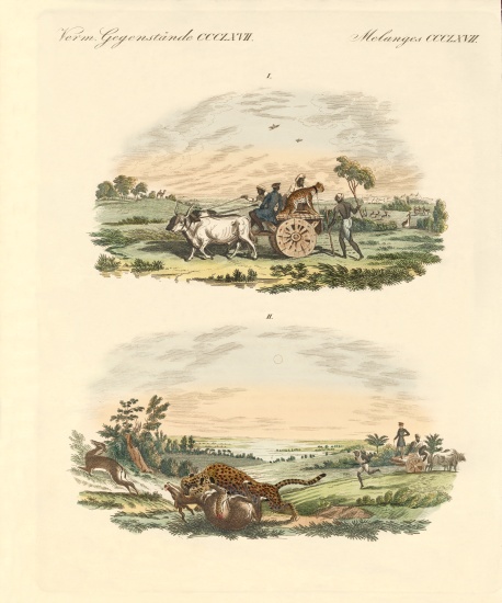 Antelopes hunting with leopards de German School, (19th century)