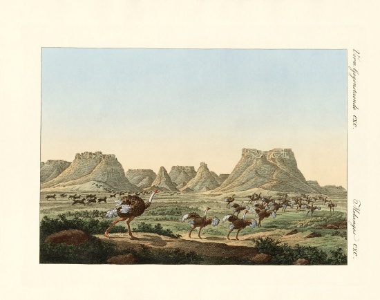 Area in South Africa at the forland of Good Hope de German School, (19th century)