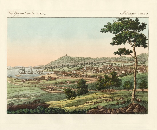 Hobart Town at Van Diemens Land de German School, (19th century)