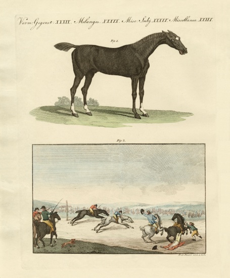 Horse races in England de German School, (19th century)