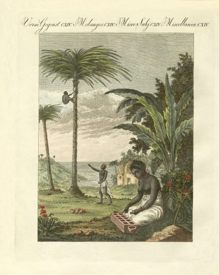 Scenes from Africa de German School, (19th century)