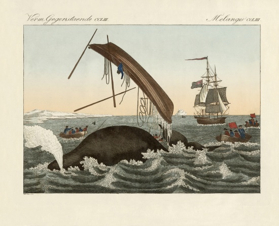 The dangers of whale fishing de German School, (19th century)