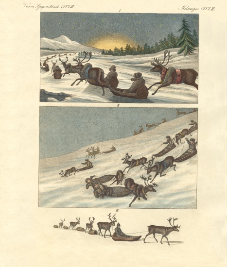 Winter trips in Lapland de German School, (19th century)