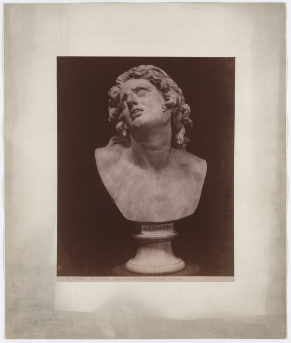 Florence: Uffizi Gallery, Alessandro dying, colossal head in marble, No. 3223 de Giacomo Brogi
