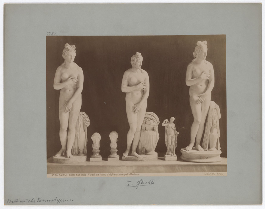 Naples: National Museum, Venus sculptures that have similarity with the Medici, No. 5429 de Giacomo Brogi