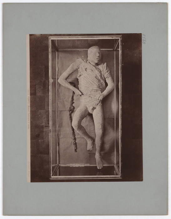Pompeii: (Museum) Corpse of a man, No. 5573 de Giacomo Brogi