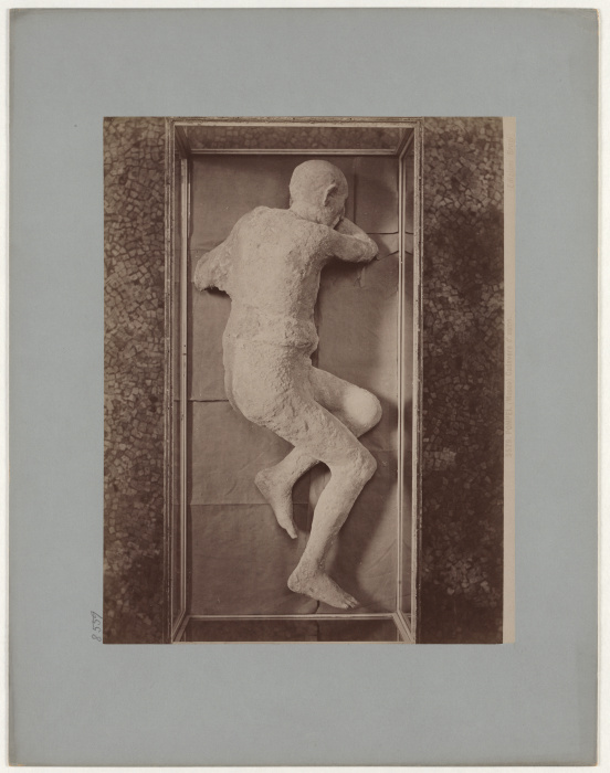 Pompeii: (Museum) Corpse of a man, No. 5579 de Giacomo Brogi