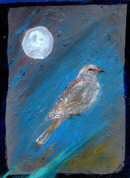 Moon Bird de Gigi Sudbury