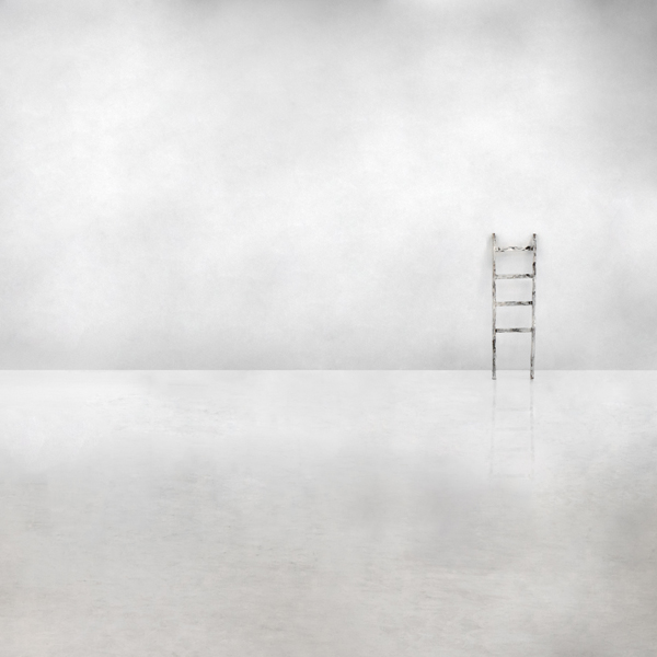 The social ladder de Gilbert Claes