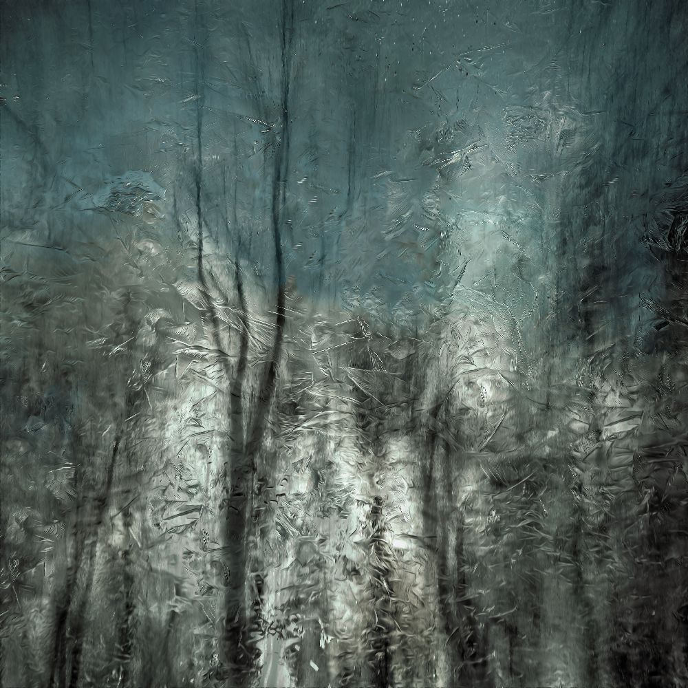 frozen frost wood de Gilbert Claes